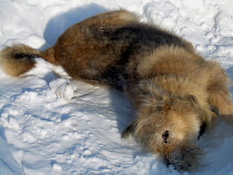 Similar image 21781098