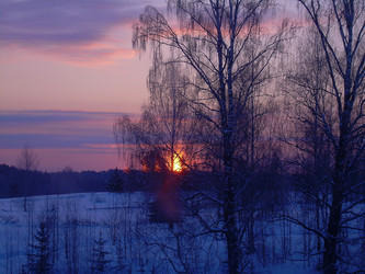 Similar image 21781100