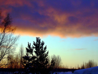 Similar image 21781108