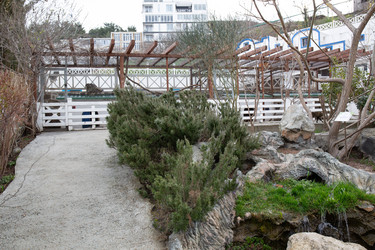 Similar image 21781412