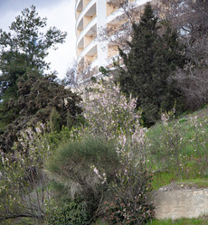 Similar image 21781414