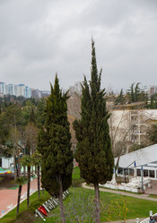 Similar image 21781442