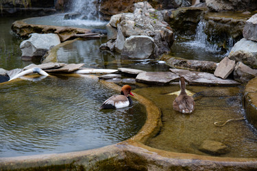 Similar image 21781445