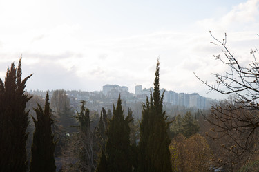 Similar image 21781453