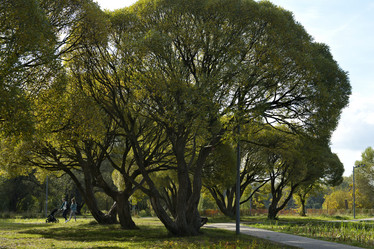 Similar image 21786384