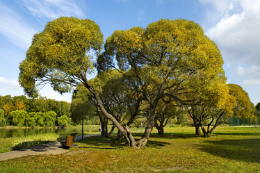 Similar image 21786385