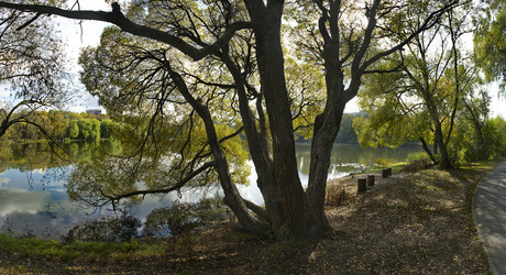 Similar image 21786386