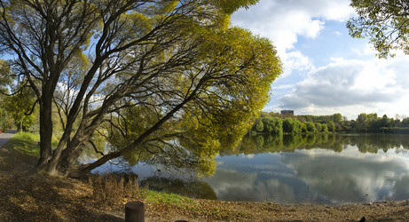 Similar image 21786387