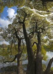 Similar image 21786388