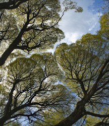 Similar image 21786390