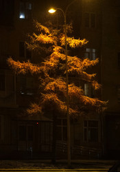 Similar image 21786392