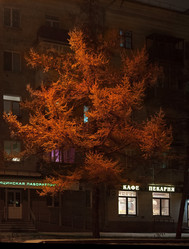 Similar image 21786393