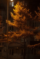 Similar image 21786394