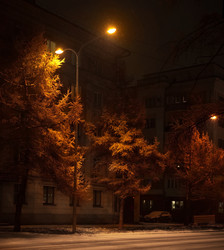 Similar image 21786395