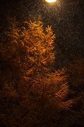 Similar image 21786396