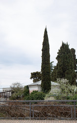 Similar image 21782766