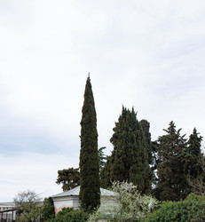 Similar image 21782770