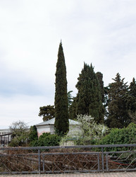 Similar image 21782772