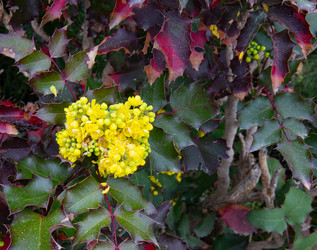 Similar image 21782778