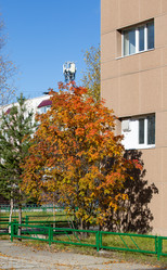 Similar image 21782946