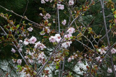 Similar image 21782947