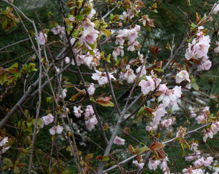 Similar image 21782949