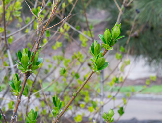 Similar image 21782951