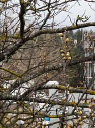 Similar image 21781264