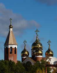 Similar image 21781265