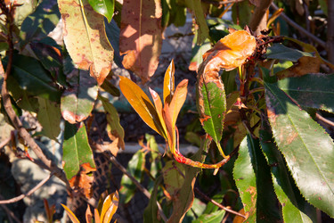 Similar image 21781269