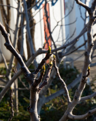 Similar image 21781273