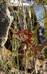 Similar image 21781275