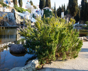 Similar image 21781278