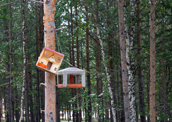 Similar image 21781466