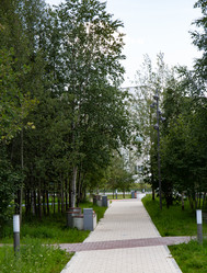 Similar image 21781469