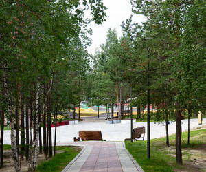 Similar image 21781476