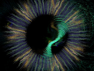 Similar image 21784507