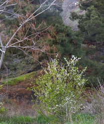 Similar image 21782584