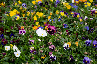 Similar image 21782585