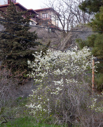 Similar image 21782586