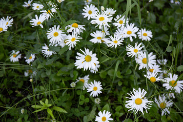 Similar image 21782595