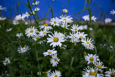 Similar image 21782597