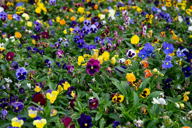 Similar image 21782599