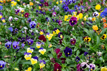 Similar image 21782780