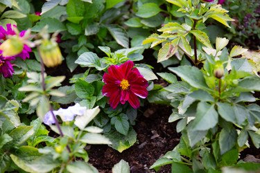 Similar image 21782781