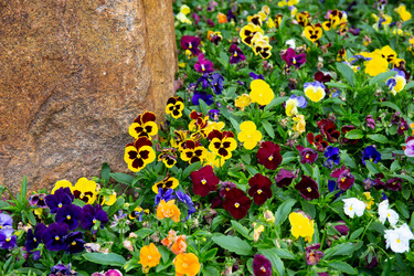 Similar image 21782783