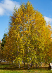 Similar image 21782785