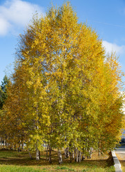 Similar image 21782791