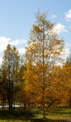 Similar image 21782793