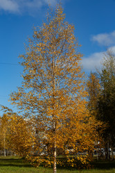 Similar image 21782794